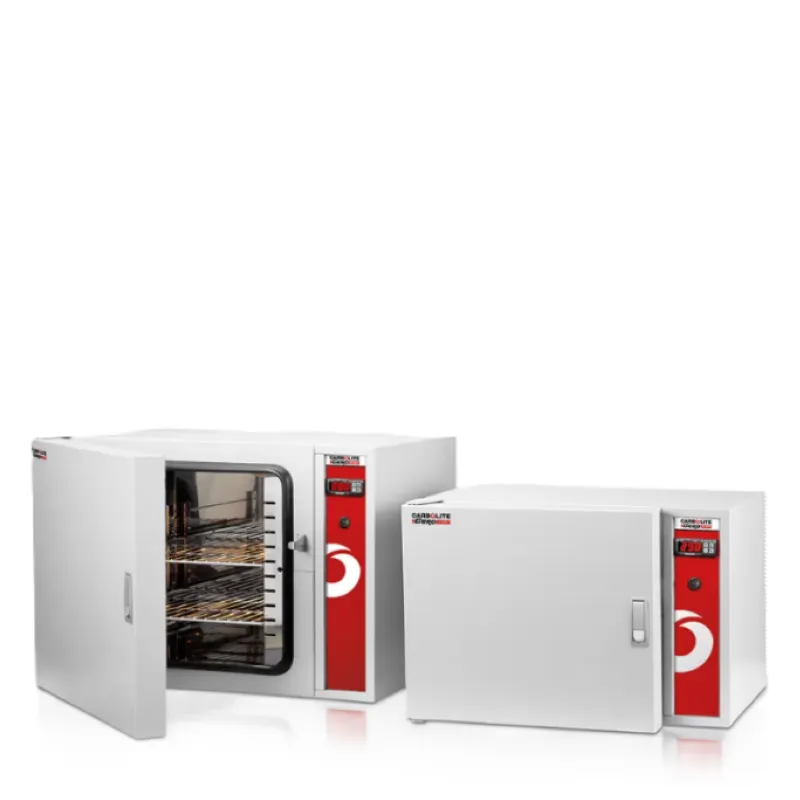 Лабораторні сушильні шафи до 700°C