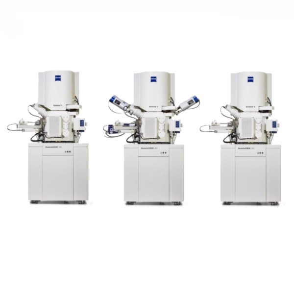 Microscopes GeminiSEM0