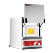 Incineration and ashing furnace GSM0